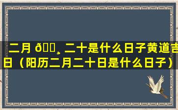 二月 🌸 二十是什么日子黄道吉日（阳历二月二十日是什么日子）